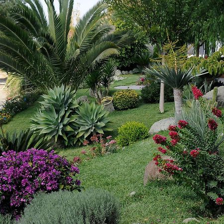 Casa Ischitana Διαμέρισμα Forio di Ischia Εξωτερικό φωτογραφία