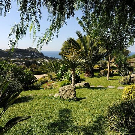 Casa Ischitana Διαμέρισμα Forio di Ischia Εξωτερικό φωτογραφία