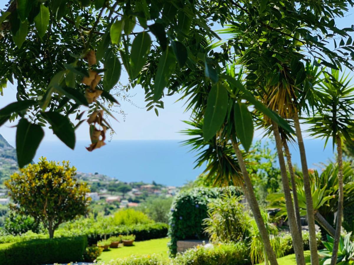 Casa Ischitana Διαμέρισμα Forio di Ischia Εξωτερικό φωτογραφία