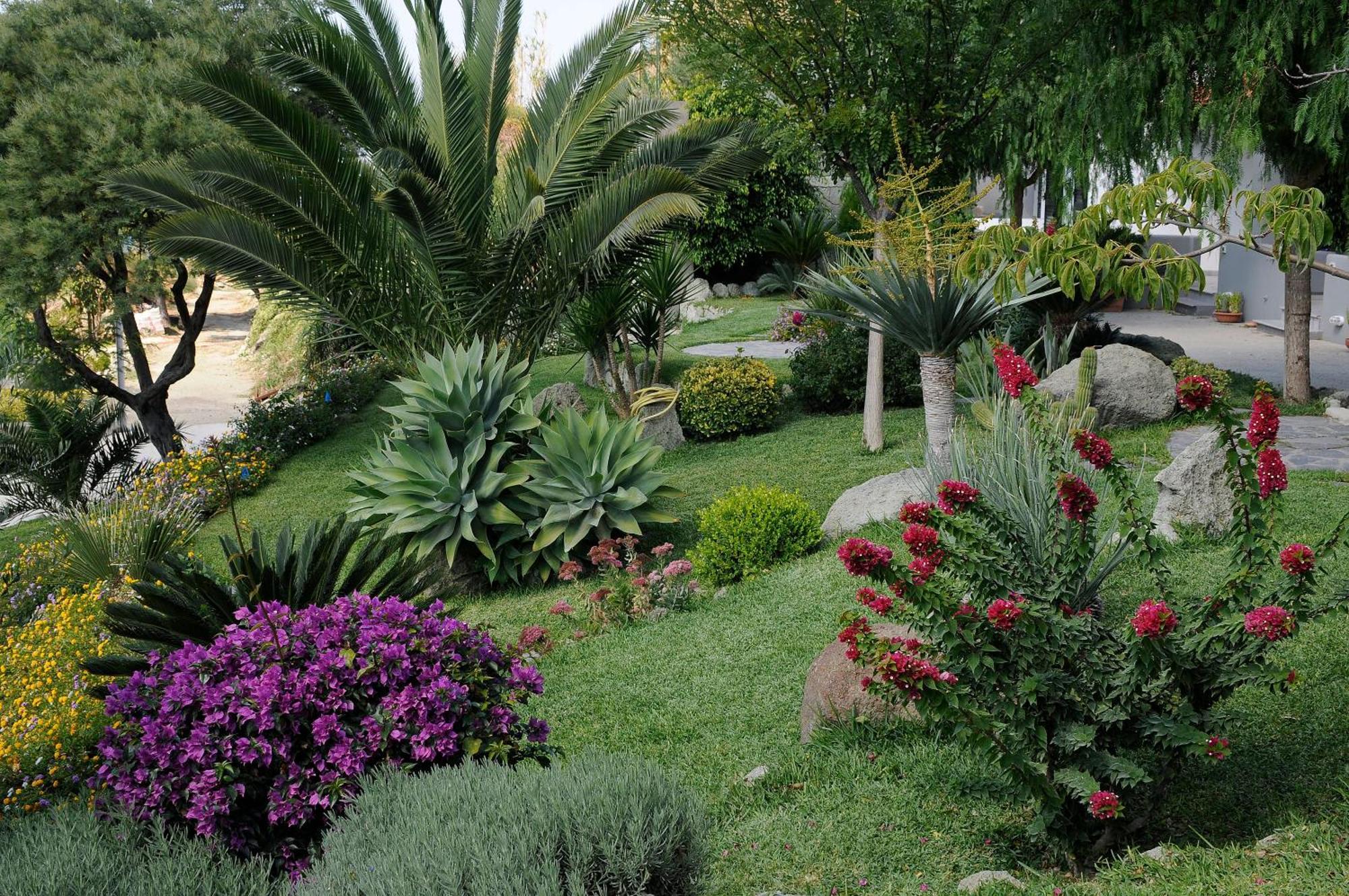 Casa Ischitana Διαμέρισμα Forio di Ischia Εξωτερικό φωτογραφία