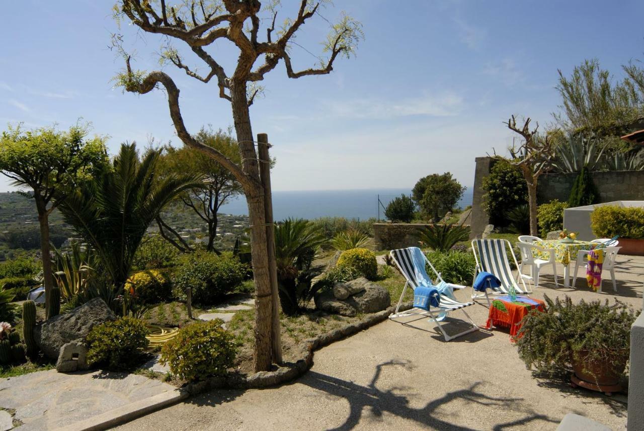 Casa Ischitana Διαμέρισμα Forio di Ischia Εξωτερικό φωτογραφία