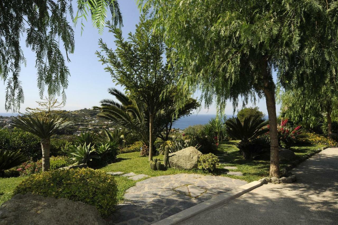 Casa Ischitana Διαμέρισμα Forio di Ischia Εξωτερικό φωτογραφία