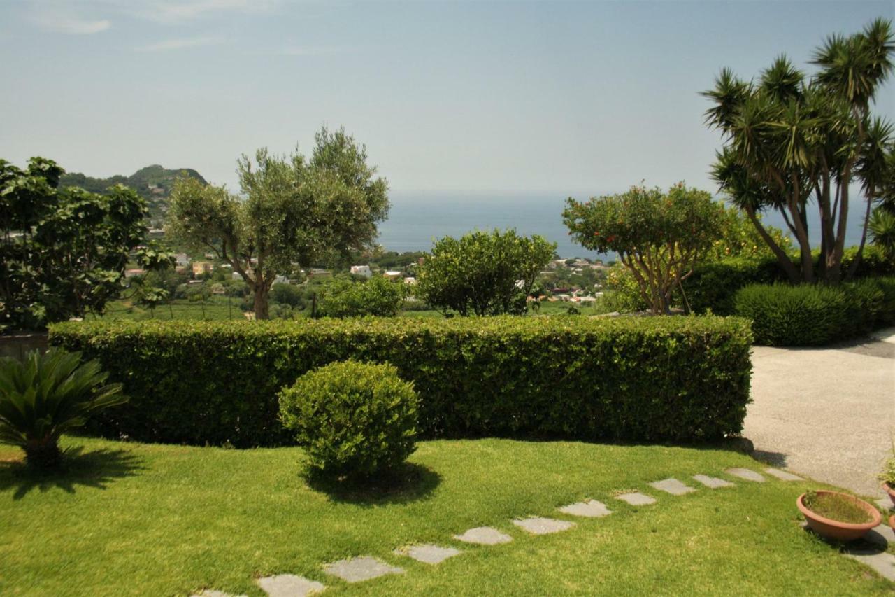Casa Ischitana Διαμέρισμα Forio di Ischia Εξωτερικό φωτογραφία